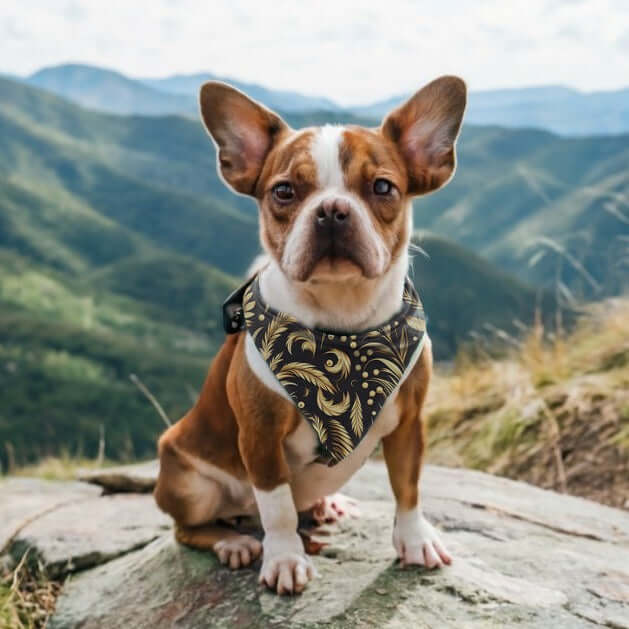 Floral-Pet-Bandana.jpg