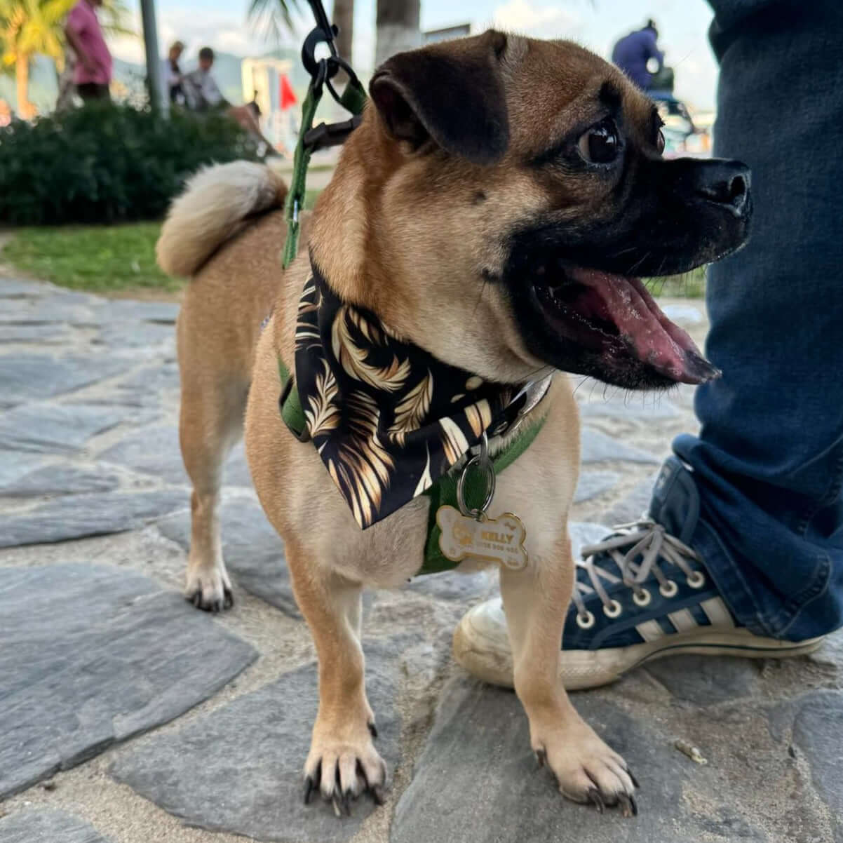 Floral Pet Bandana - Wyld Peak