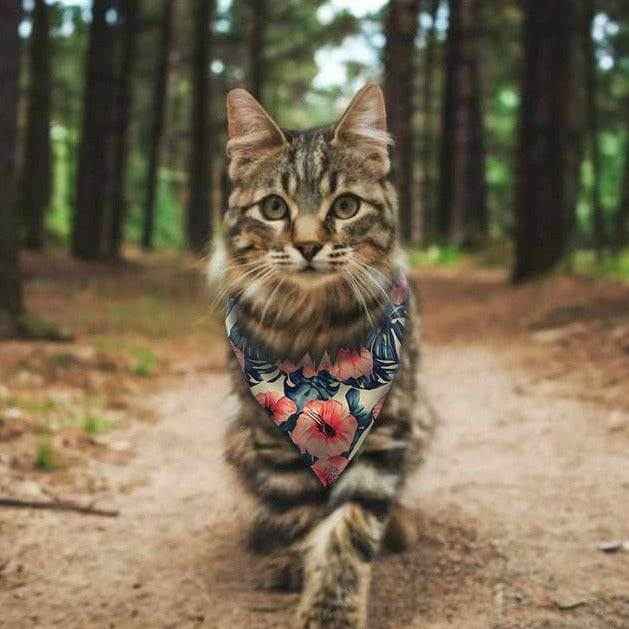 Poppy Floral Pet Bandana