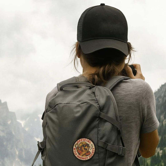 Small Tariff Update - Nothing to Sweat (Yet)