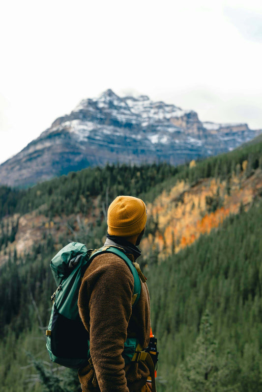 Protecting Our National Parks: Why They Need Us Now More Than Ever