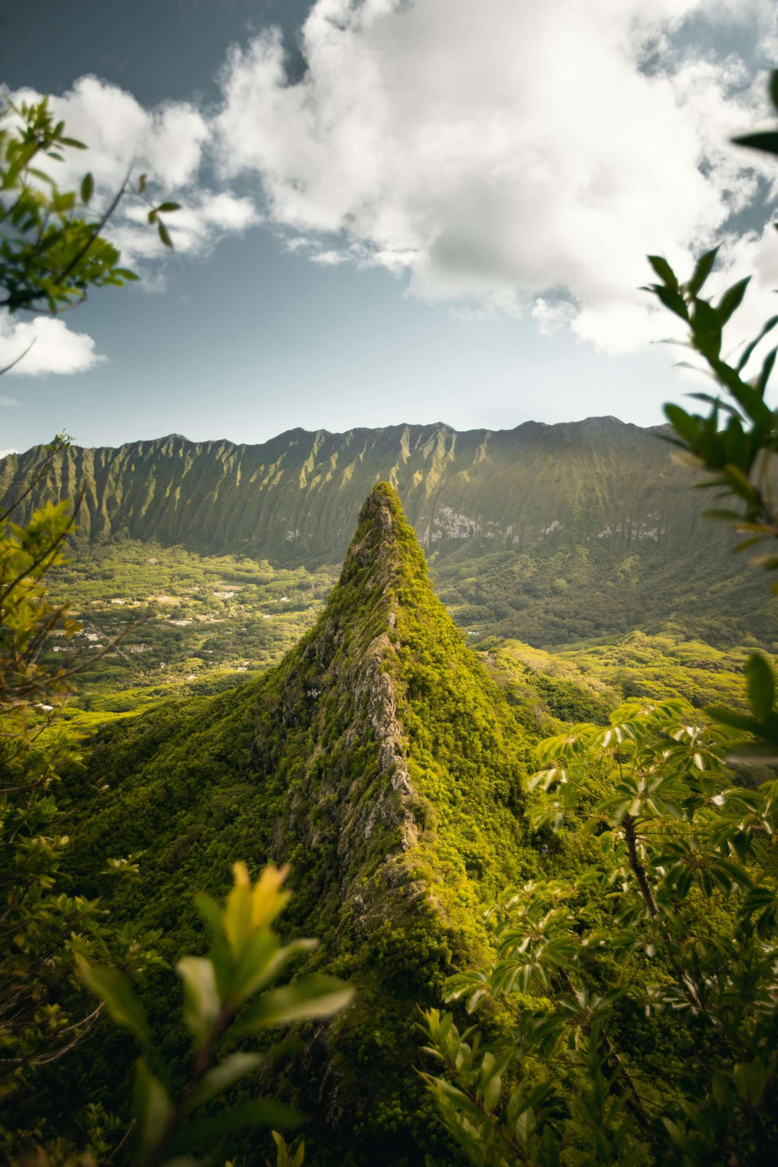 “Explore Oahu Beyond Diamond Head: 5 Underrated Hikes” – Discover hidden trails, scenic views, and tranquil waterfalls.