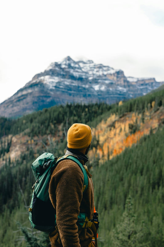 Protecting Our National Parks: Why They Need Us Now More Than Ever