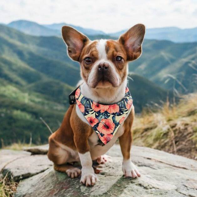 Poppy-Floral-Pet-Bandana.jpg