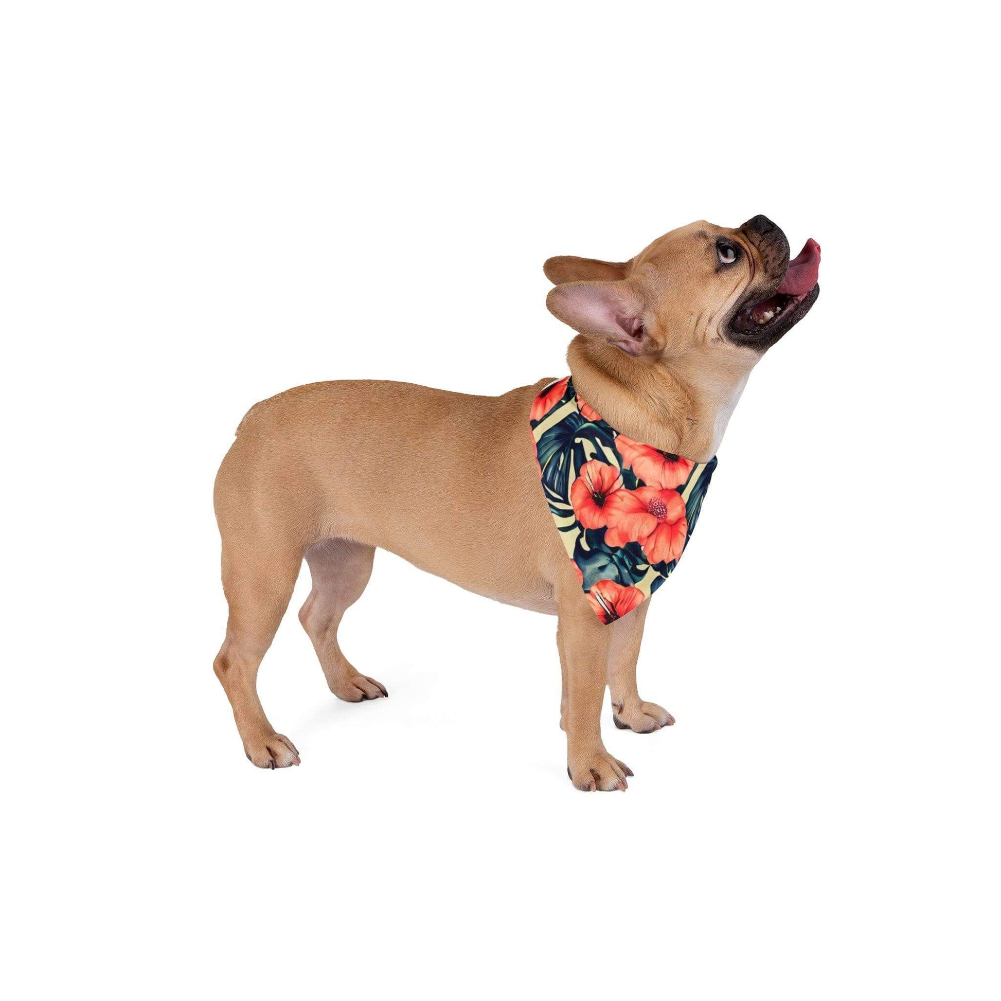 Poppy Floral Pet Bandana - Wyld Peak