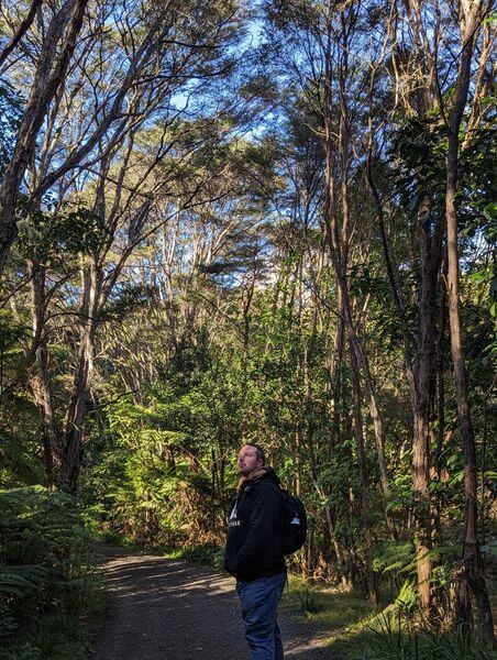 Hayden from Wyld Peak among native New Zealand trees with tui birds and birdsong.