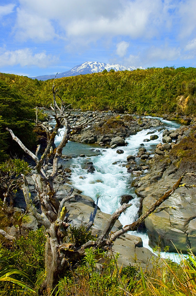 The Mahuia River near Tongariro National Park in New Zealand